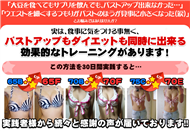 �_�C�G�b�g